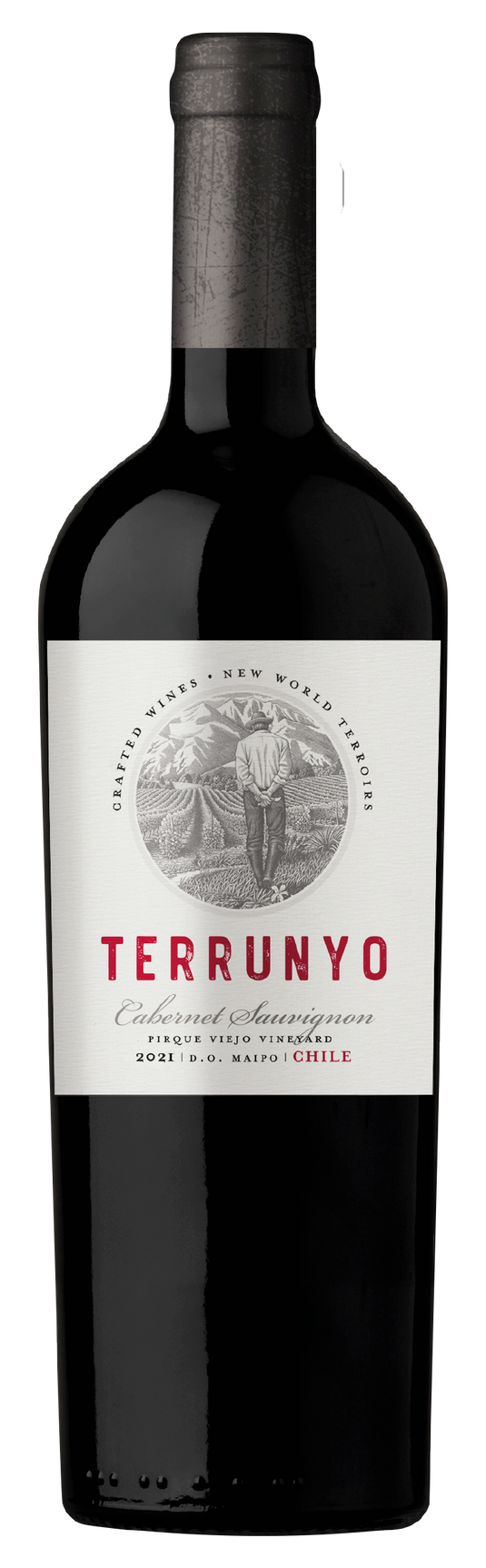 Vinho Terrunyo Cabernet Sauvignon 750ml