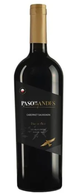 Vinho Paso Los Andes Cabernet Sauvignon 750ml