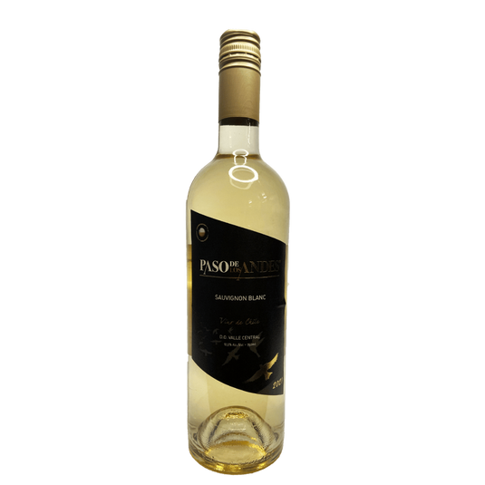 Vinho Paso Los Andes Carmenére 750ml