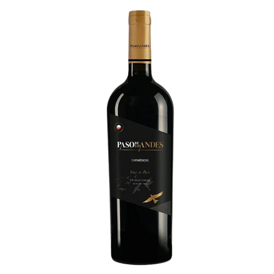 Vinho Paso Los Andes Sauvignon Blanc 750ml