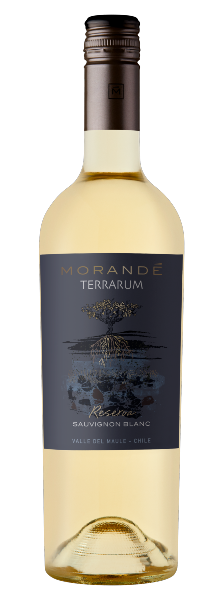 Vinho Morande Terrarum Reserva Sauvignon Blanc 750ml