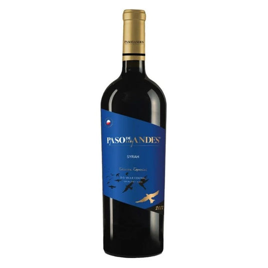 Vinho Paso Los Andes Edição Especial Syrah 750ml